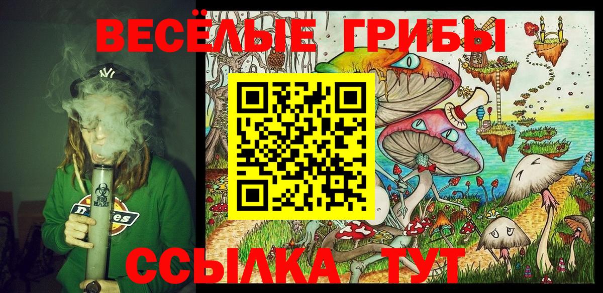 Псилоцибиновые грибы мухоморы Камышин