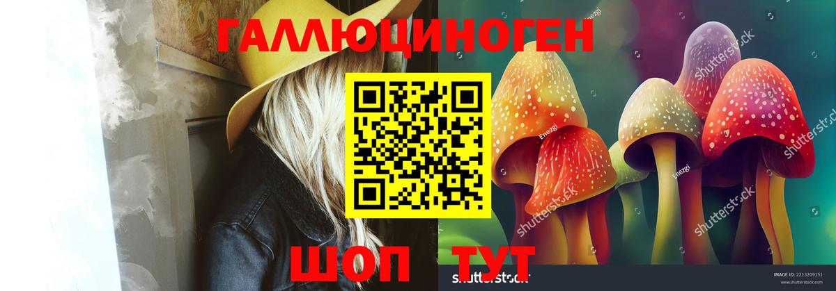 Камышин  Галлюциногенные грибы Magic Shrooms  Вход с VPN 